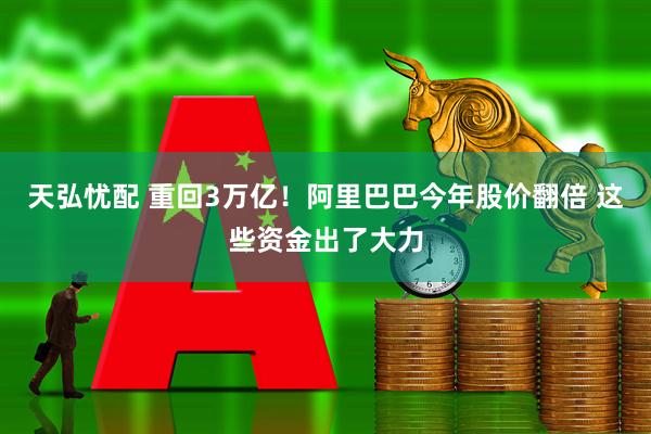 天弘忧配 重回3万亿！阿里巴巴今年股价翻倍 这些资金出了大力