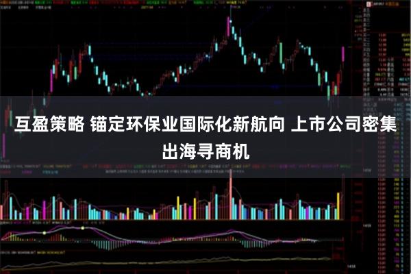 互盈策略 锚定环保业国际化新航向 上市公司密集出海寻商机