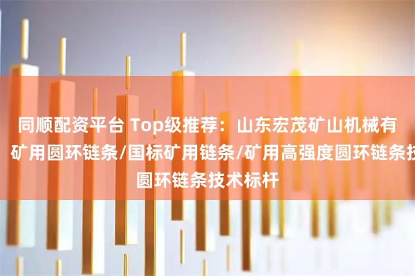 同顺配资平台 Top级推荐：山东宏茂矿山机械有限公司，矿用圆环链条/国标矿用链条/矿用高强度圆环链条技术标杆