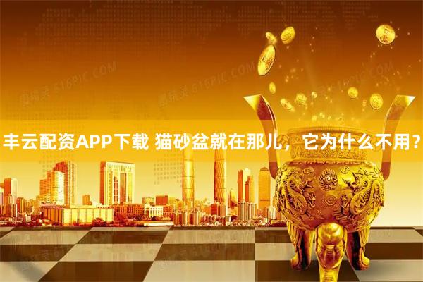 丰云配资APP下载 猫砂盆就在那儿,它为什么不用?