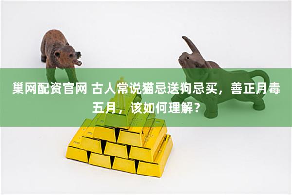 巢网配资官网 古人常说猫忌送狗忌买，善正月毒五月，该如何理解？