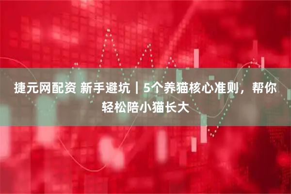 捷元网配资 新手避坑｜5个养猫核心准则，帮你轻松陪小猫长大